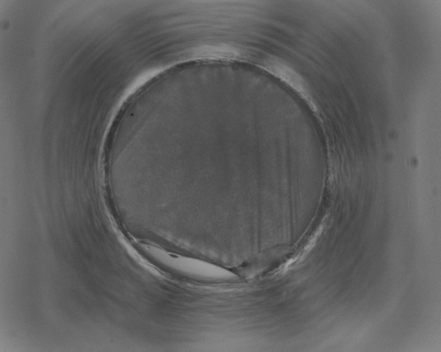 X0000078281037200612011739