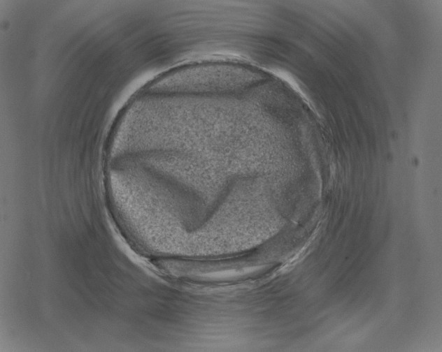 X0000078281038200612011739