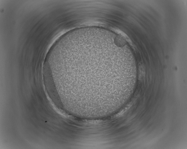 X0000078281039200612011739