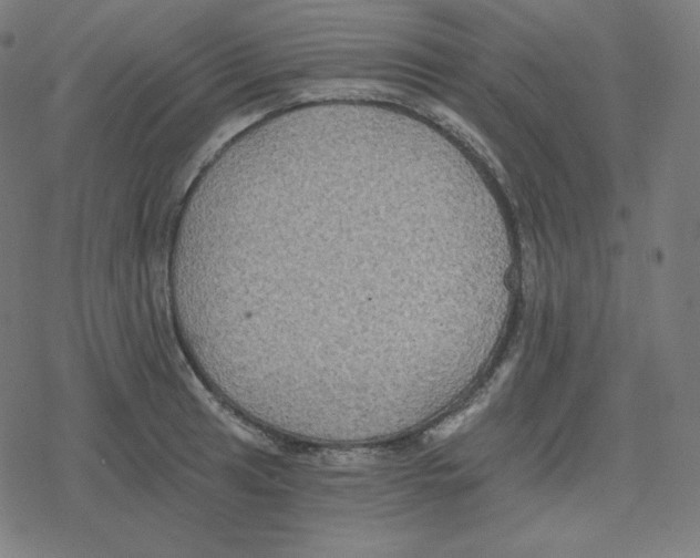 X0000078281041200612011739