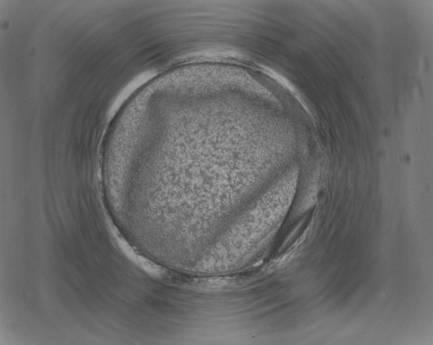 X0000078281042200612011739