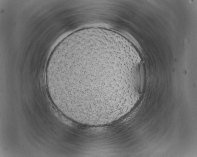 X0000078281044200612011739