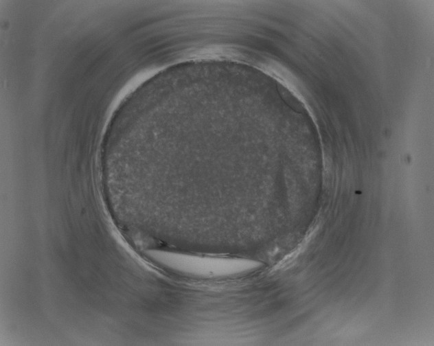 X0000078281045200612011739