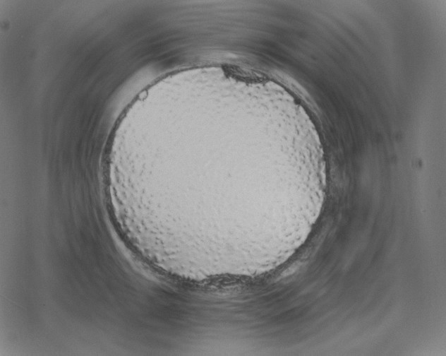 X0000078281047200612011739