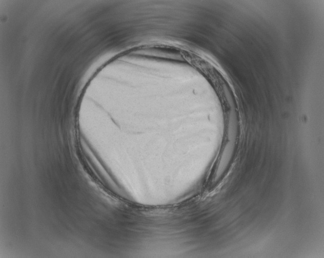 X0000078281048200612011739