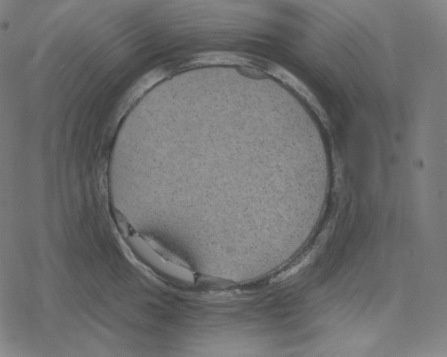 X0000078281049200612011739