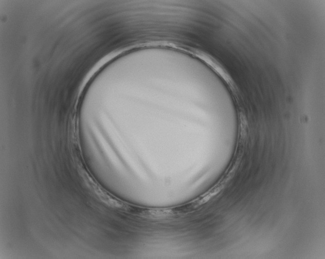 X0000078281052200612011739