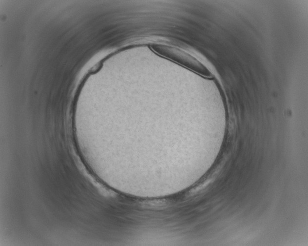 X0000078281053200612011739