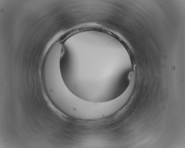 X0000078281054200612011739