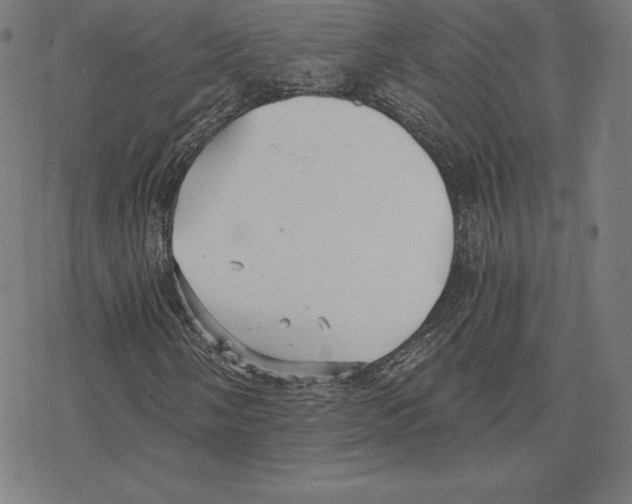 X0000078281058200612011739