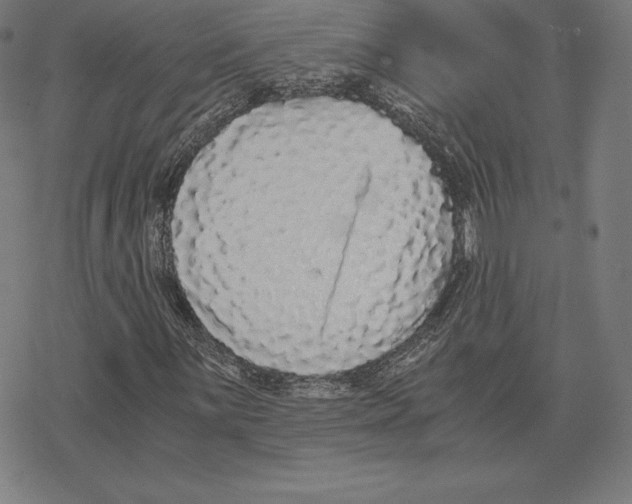 X0000078281059200612011739