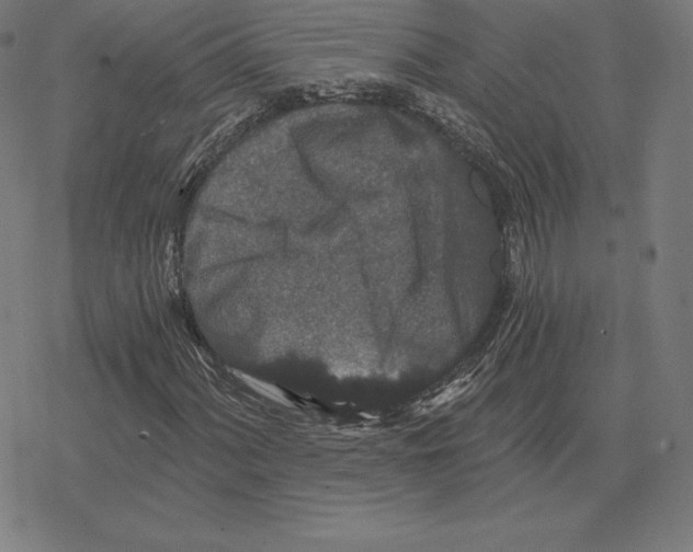 X0000078281060200612011739