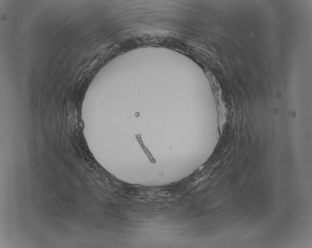 X0000078281061200612011739