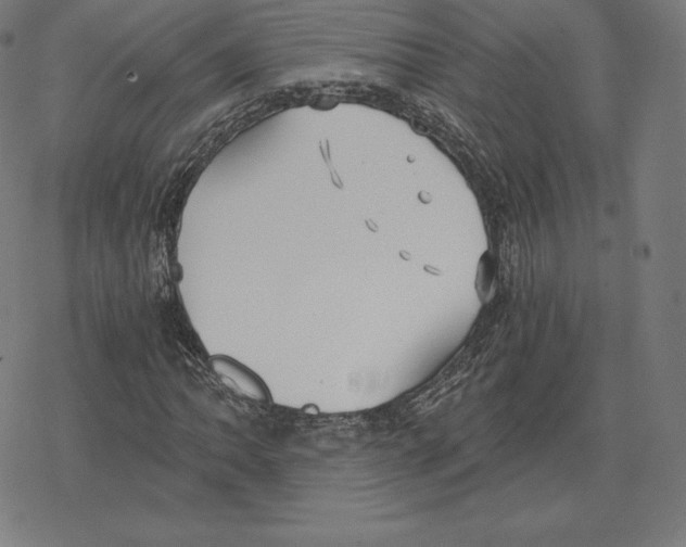 X0000078281062200612011739