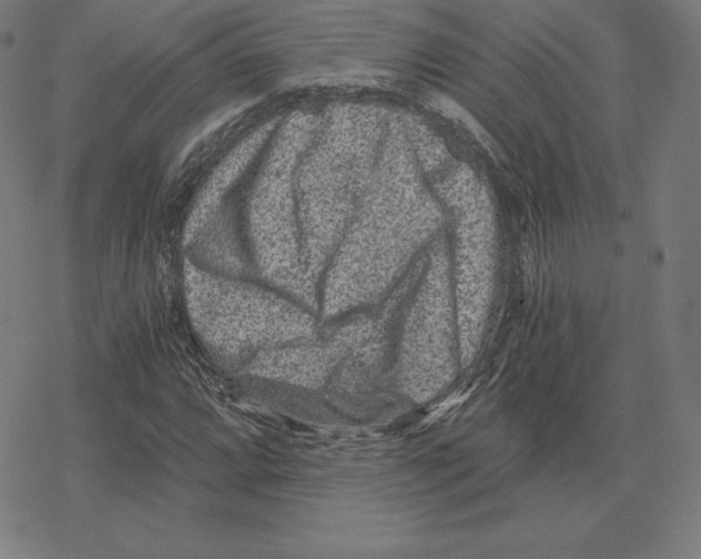 X0000078281064200612011738