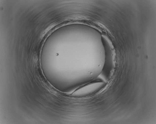 X0000078281065200612011738