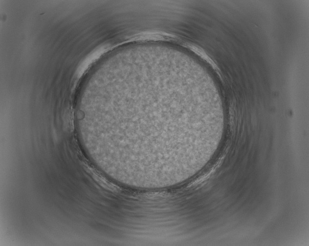 X0000078281067200612011738