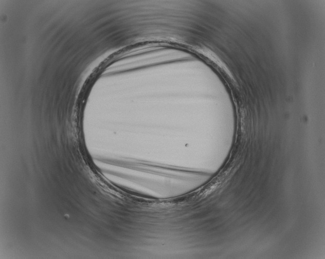 X0000078281068200612011738