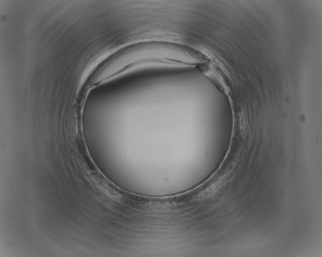 X0000078281069200612011738