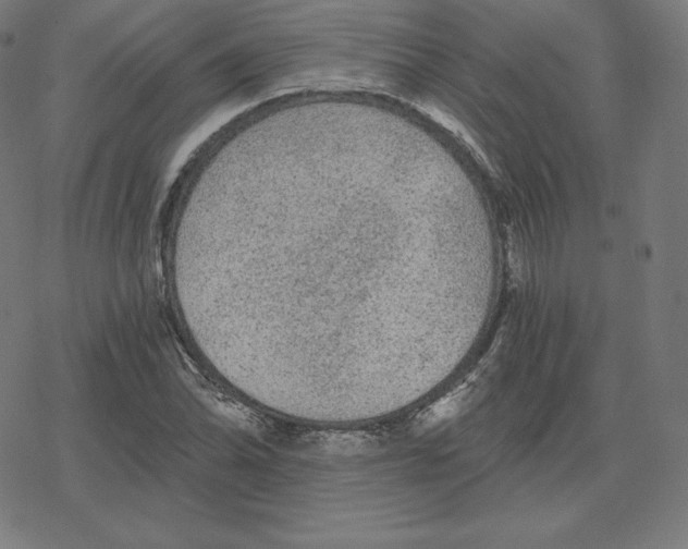 X0000078281070200612011738