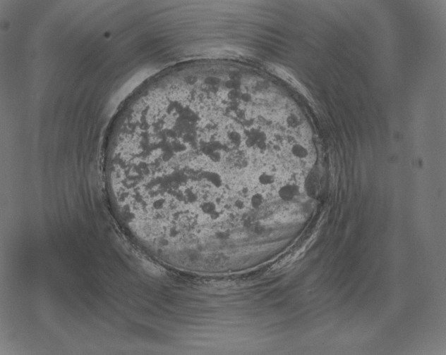 X0000078281071200612011738