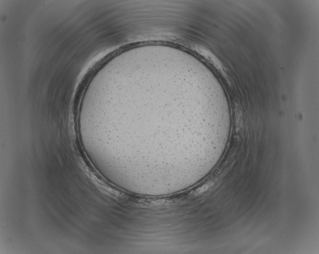 X0000078281072200612011738