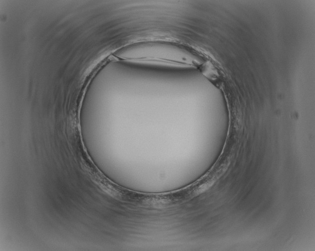 X0000078281073200612011738