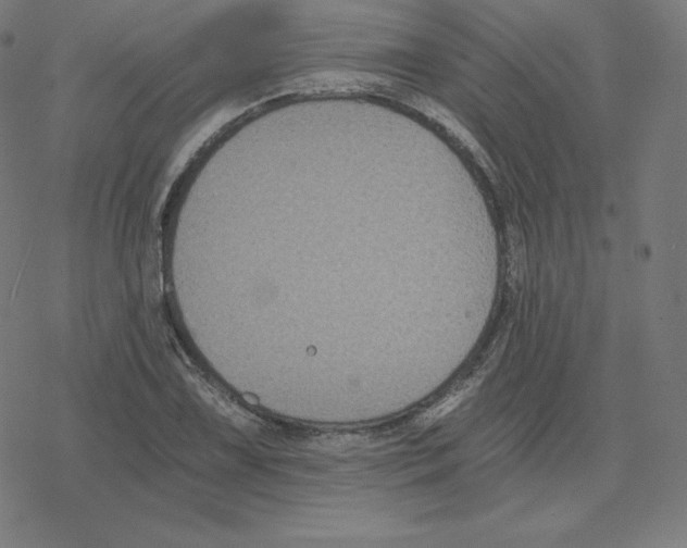 X0000078281075200612011738