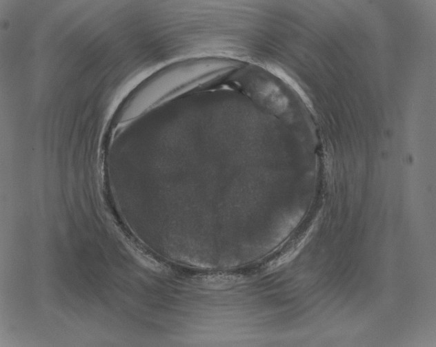 X0000078281077200612011738