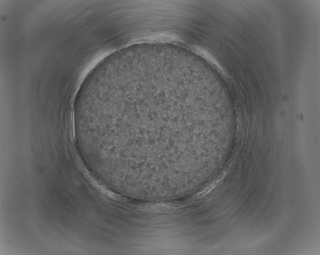 X0000078281079200612011738