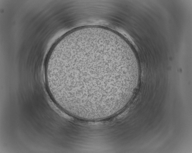 X0000078281080200612011738