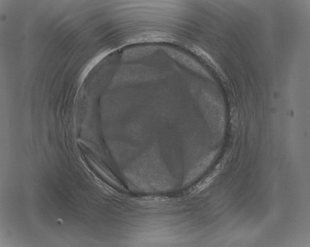 X0000078281081200612011738