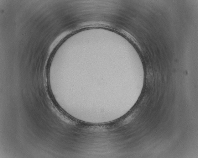 X0000078281082200612011738