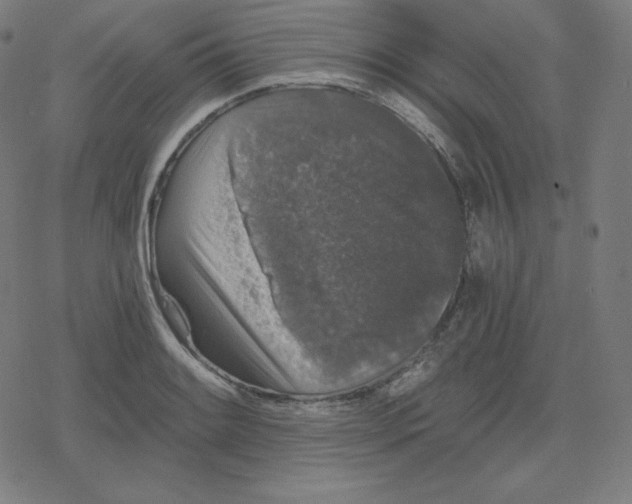 X0000078281084200612011738