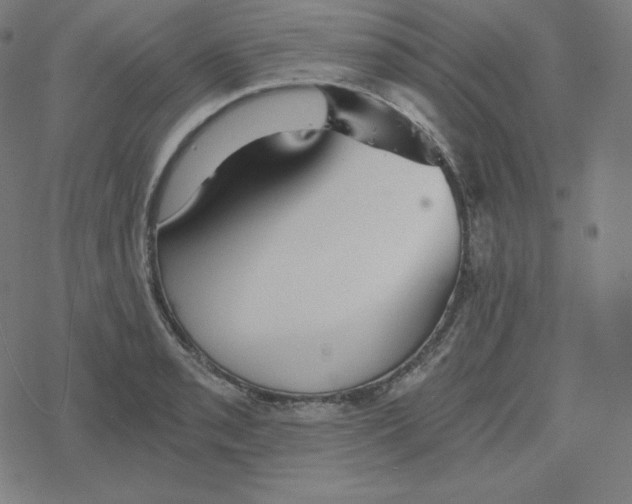 X0000078281085200612011738