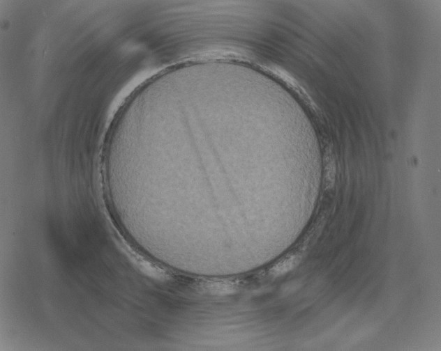 X0000078281086200612011738