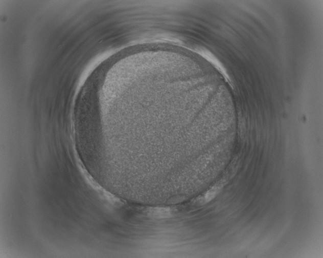 X0000078281088200612011738