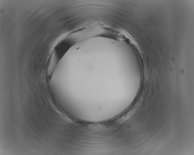 X0000078281089200612011738