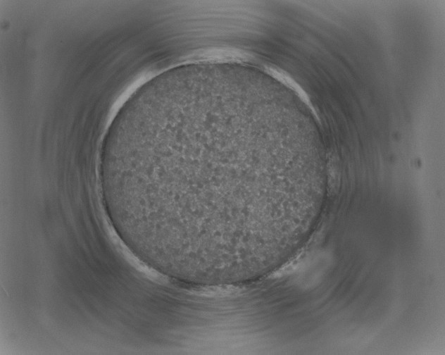 X0000078281091200612011738