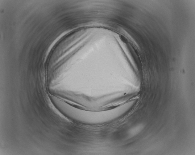 X0000078281092200612011738