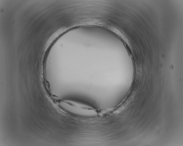 X0000078281093200612011738