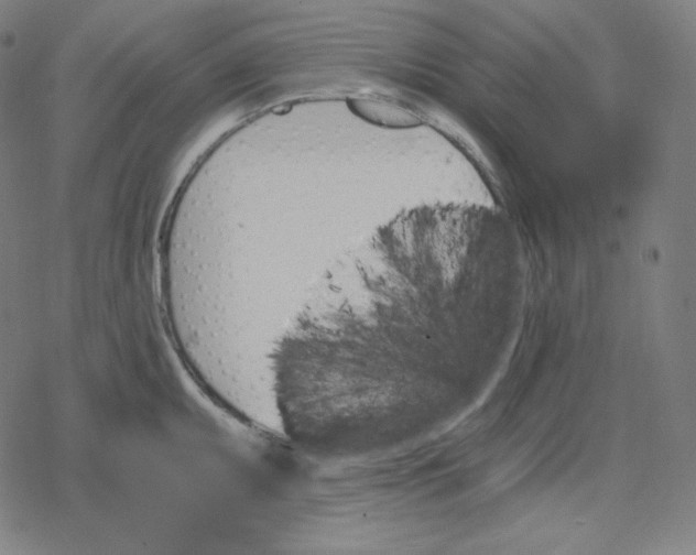 X0000078281095200612011738