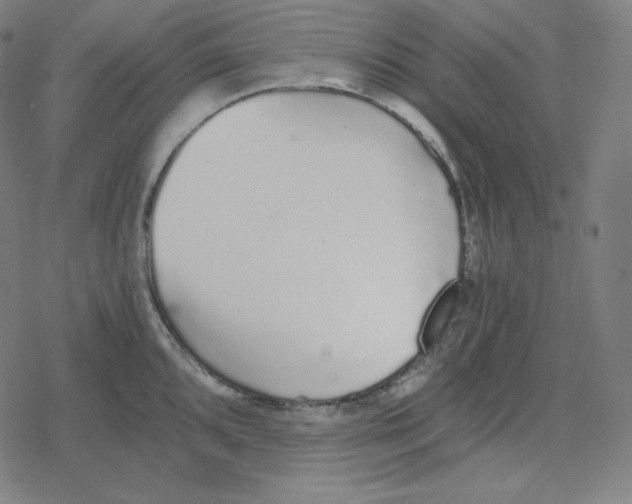 X0000078281096200612011738