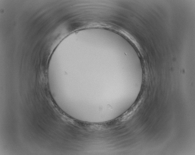 X0000078281097200612011738