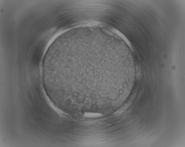 X0000078281099200612011738