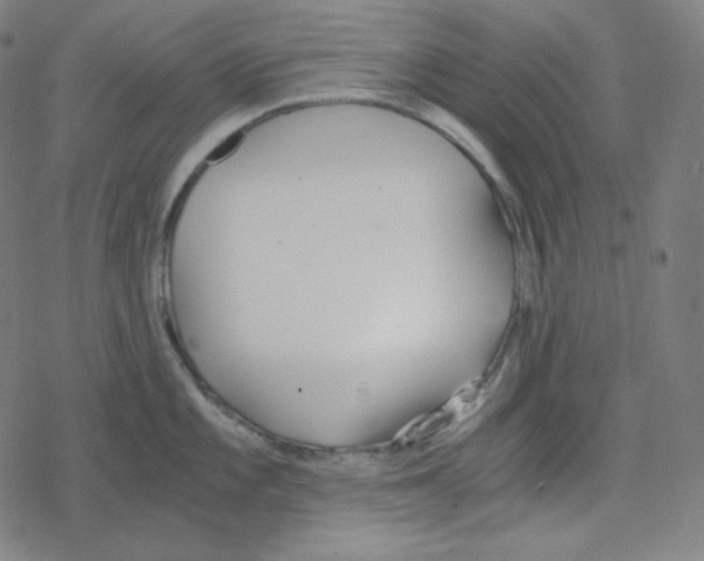 X0000078281101200612011738