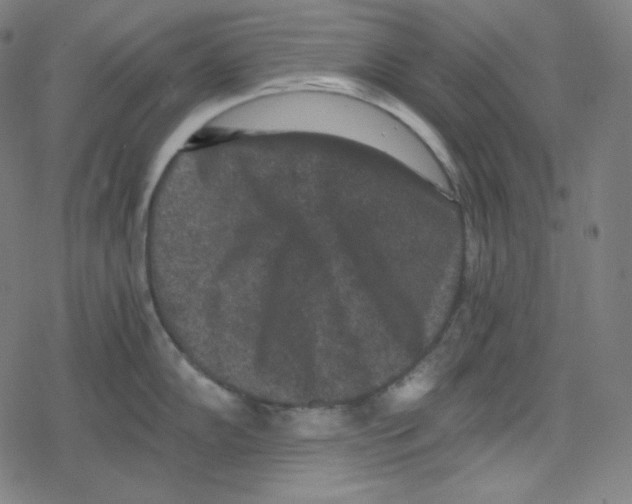 X0000078281102200612011738