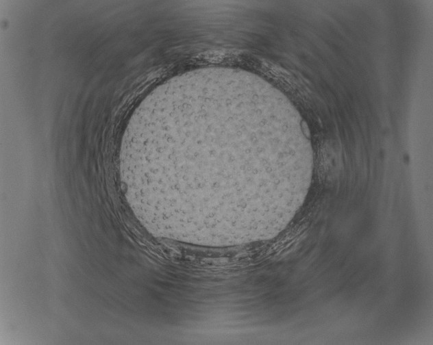 X0000078281105200612011737