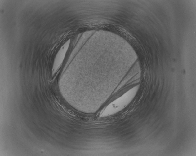 X0000078281108200612011737