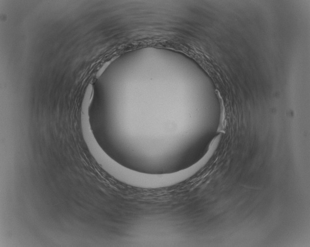 X0000078281109200612011737